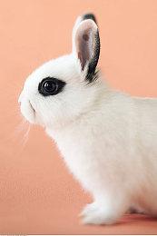 《龙之信条2》新年贺图 致敬龙与地下城